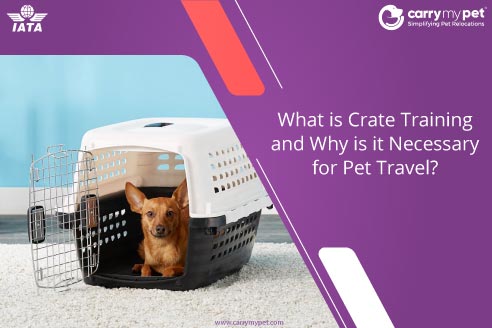 Crate Training Your Puppy - PetPlace