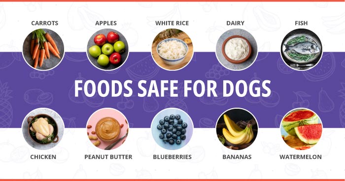 Are dairy products bad for dogs hotsell