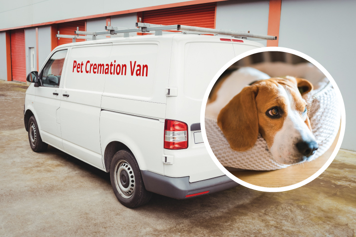 Mobile pet sale cremation services