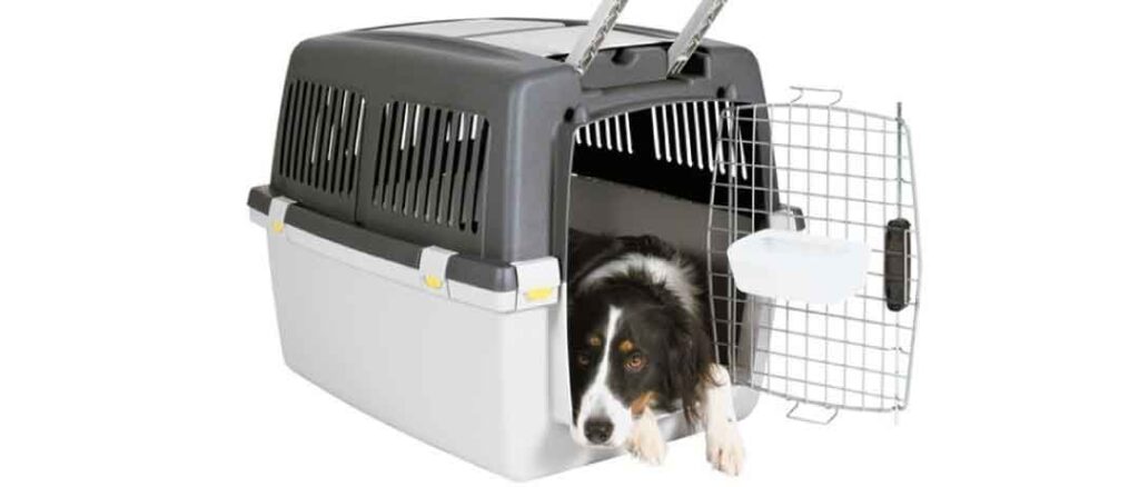 Crate Training Your Puppy - PetPlace